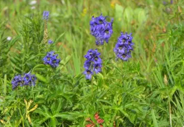 教育將在學生教師業界專家共同形成的圈層中自然生發恣意生長